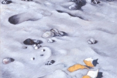 1973_Sassi05