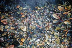 1973_Sassi08