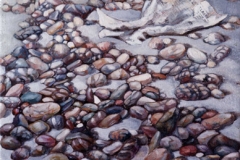 1973_Sassi09